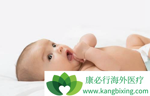 关于暖阳生殖